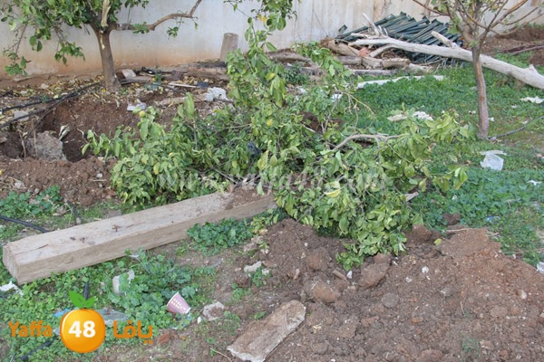 modahama lud 0216 (16).JPG